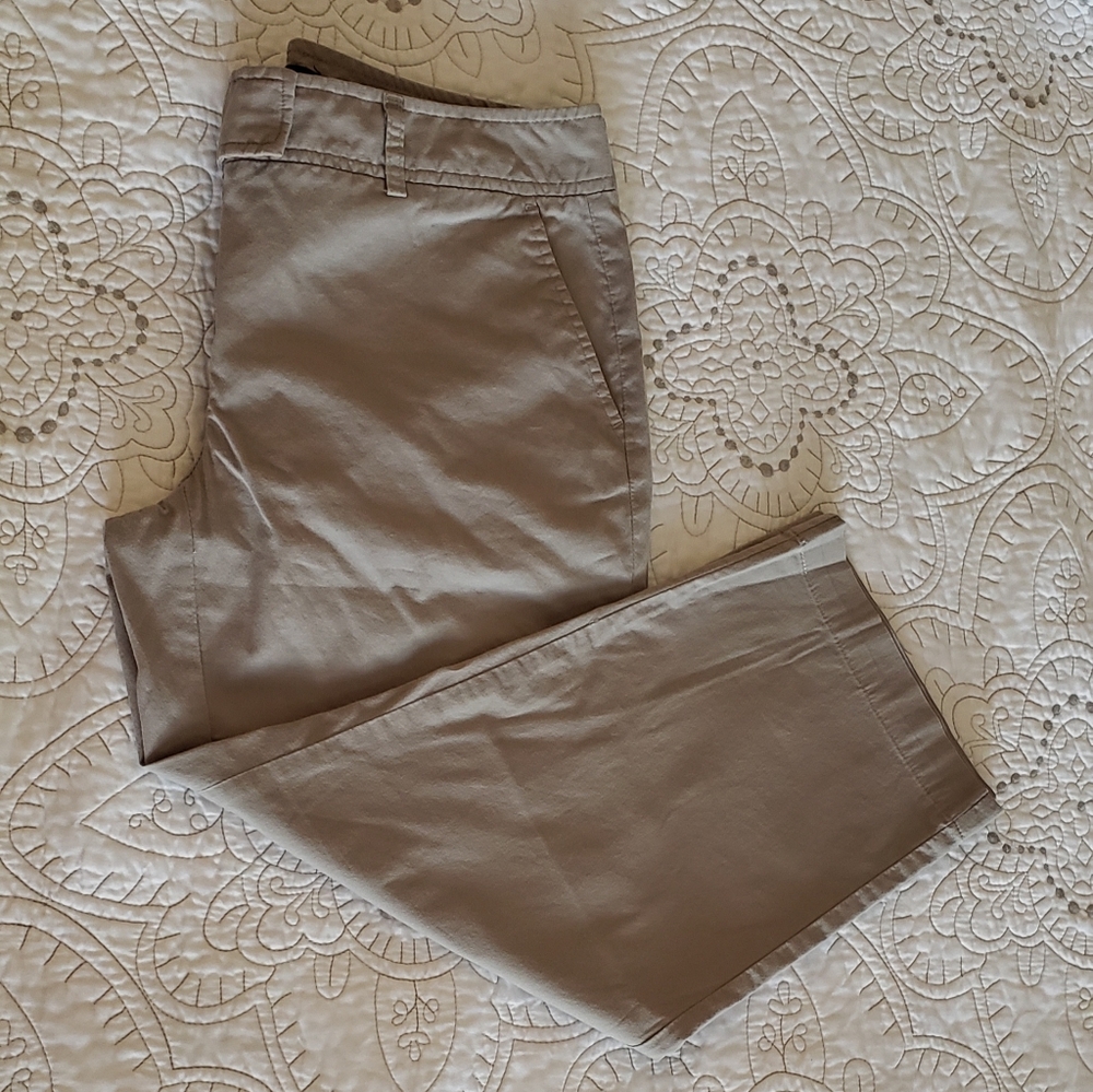 Daisy Fuentes Capri Pants